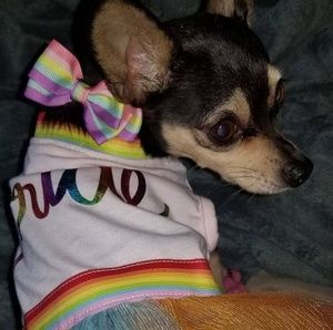 Meet your Posher, Terahlee